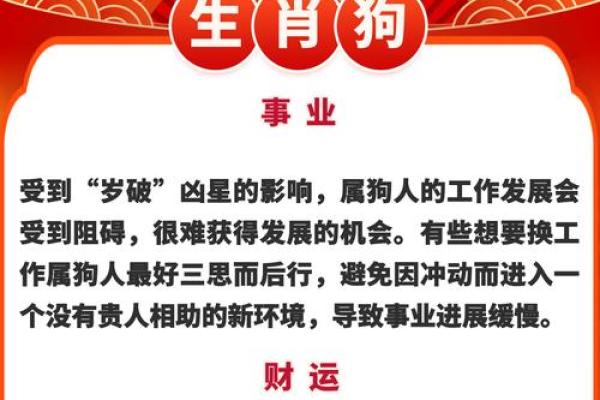 十二生肖运势解析：各生肖如何迎接新的一年