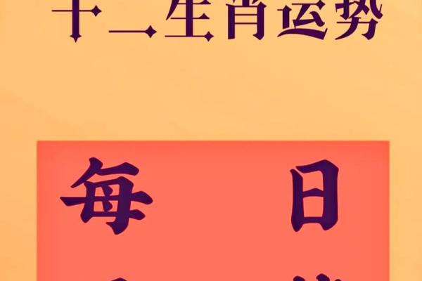 各大生肖运势一览 各大生肖运势一览