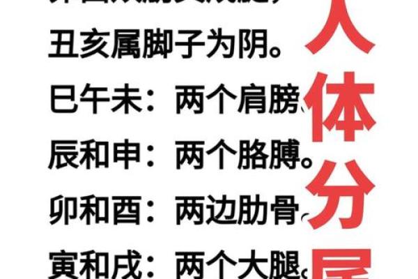 将星八字揭秘：如何通过八字看你的事业运势