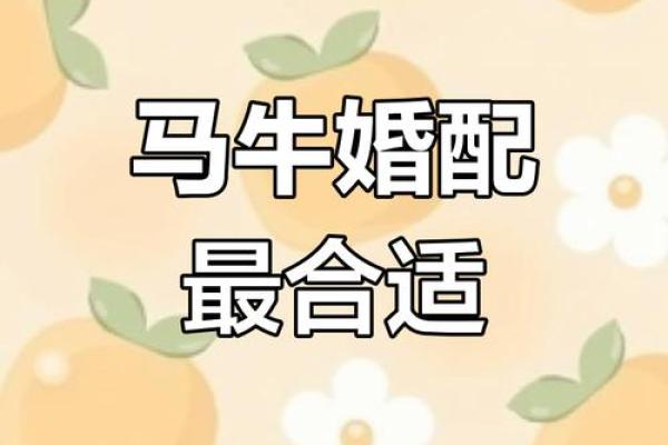 属马与属马的人婚姻是否和谐