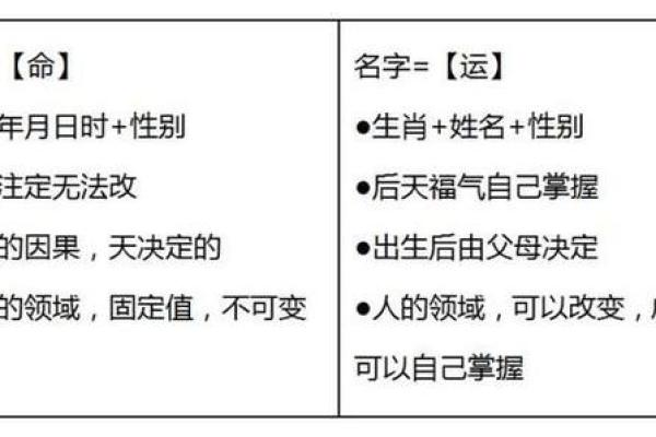 幼儿园老师名字的重要性与选择技巧