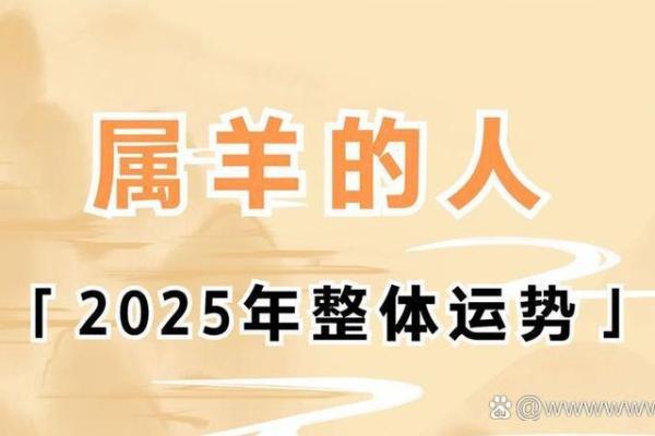 属羊人在如何抓住幸运的机会 属羊人在如何抓住幸运的机会