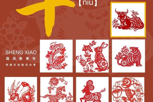 属牛人每月运势详解与注意事项 属牛人每月运势详解与注意事项