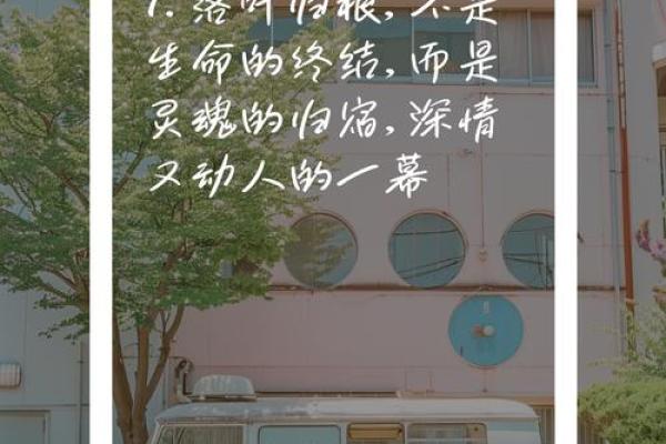 落叶归根:万年历记录的秋日诗篇 落叶归根:万年历记录的秋日诗篇
