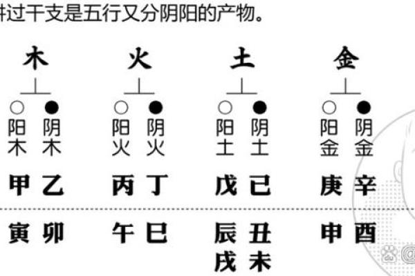杨雨泽五行解析:如何通过五行了解你的性格与命运 杨雨泽五行解析:如何通过五行了解你的性格与命运