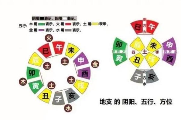 杨雨泽五行解析:如何通过五行了解你的性格与命运 杨雨泽五行解析:如何通过五行了解你的性格与命运