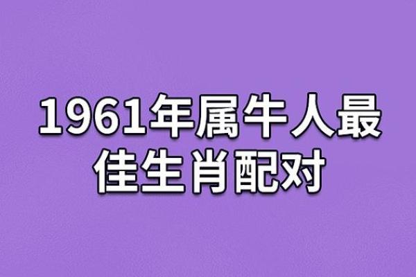 属鸡与属鼠的婚姻匹配度如何 属鸡与属鼠的婚姻匹配度如何