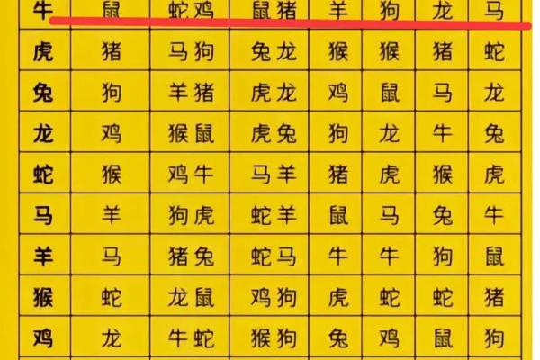 属马女与属牛男:性格差异如何影响关系 属马女与属牛男:性格差异如何影响关系