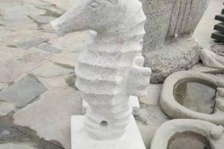 海马摆放在家居风水中的独特寓意与注意事项