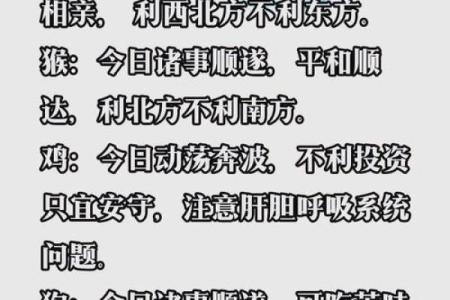 属鼠运程解析：事业与感情的双重挑战