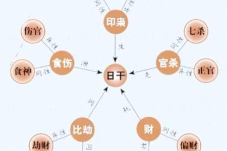 人脸五行学：如何从面相看出你的命运密码