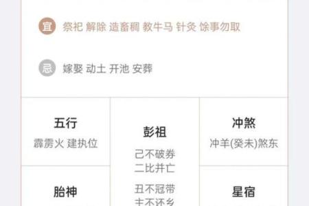 本命年鼠女如何做出明智的决策