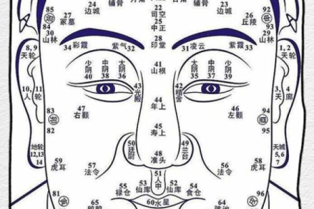 彦命运解析：详细解读属什么命与性格特征