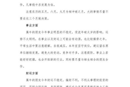 了解属相八字：如何通过八字预测你的未来运势