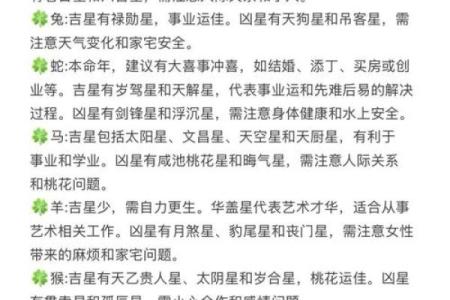十二生肖运势解析：各生肖如何迎接新的一年
