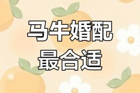 属马与属马的人婚姻是否和谐