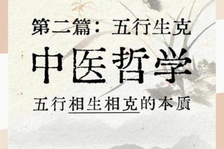 五行借代的奥秘：如何用五行解释生活中的一切事物