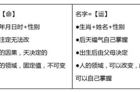 幼儿园老师名字的重要性与选择技巧