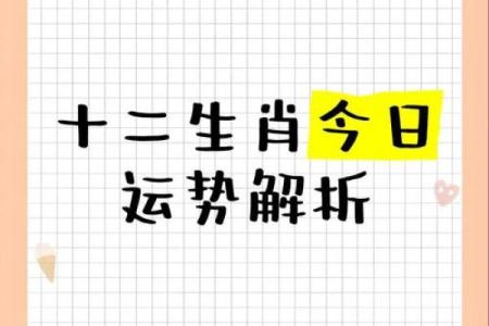 今日生肖运势走向，看看运气如何