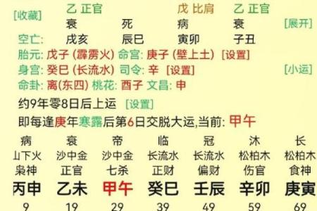 出生的人生肖运程解析与生活指南