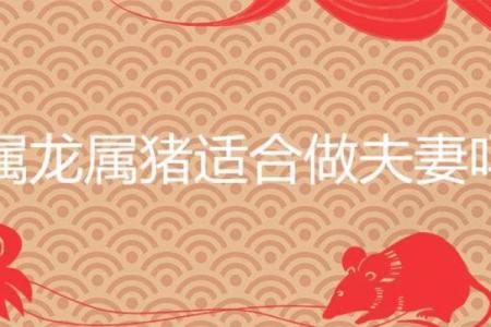 女猪男龙的婚姻运势解读：爱与挑战并存