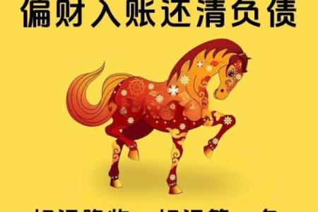 属马人在本命年如何化解困扰