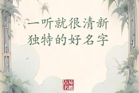 外国小孩名字的独特魅力与文化背后意义