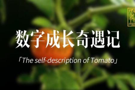 带数字的名字如何成为商业成功的关键因素