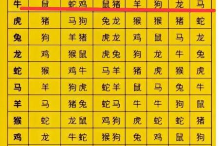 属马女与属牛男：性格差异如何影响关系