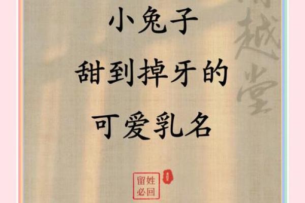 兔子名字创意大集合