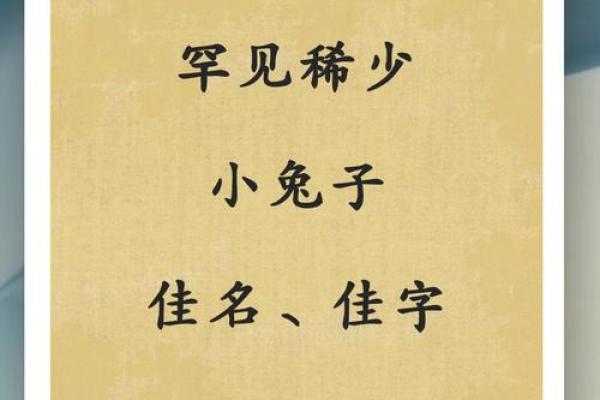 兔子名字创意大集合