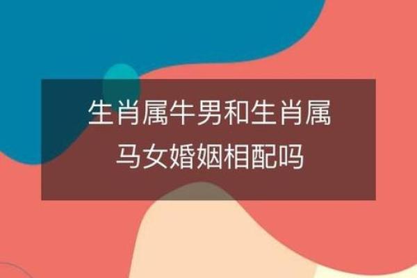 女牛与男羊婚姻:性格互补还是冲突不断? 女牛与男羊婚姻:性格互补还是冲突不断?