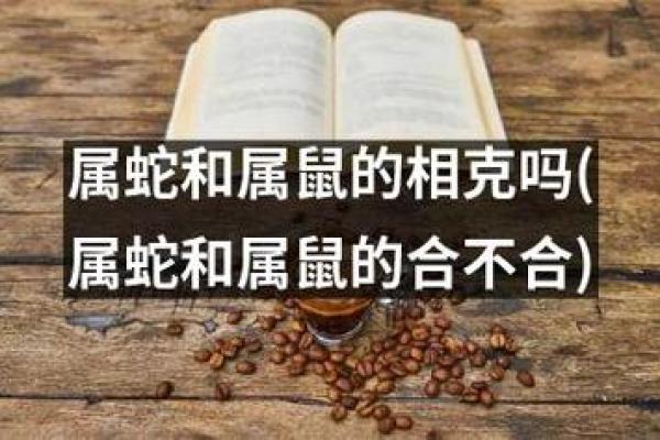 属鼠男与属蛇女的爱情配对分析 属鼠男与属蛇女的爱情配对分析
