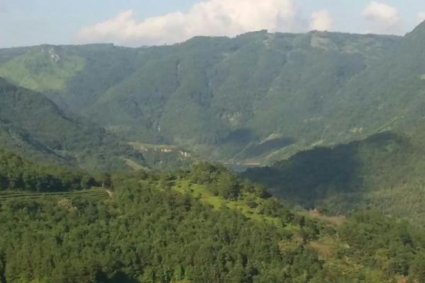 福鼎办公风水选择的五大关键要素解析 福鼎办公风水选择的五大关键要素解析