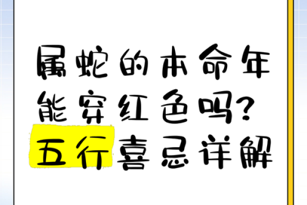 属蛇人在本命年要避免的禁忌