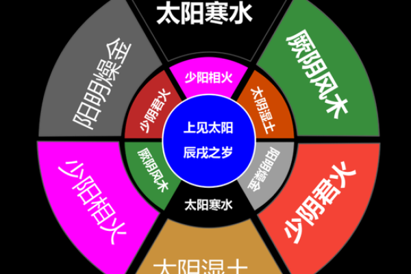 五行胜复调节:提升身体平衡与健康的神奇法则 五行胜复调节:提升身体平衡与健康的神奇法则