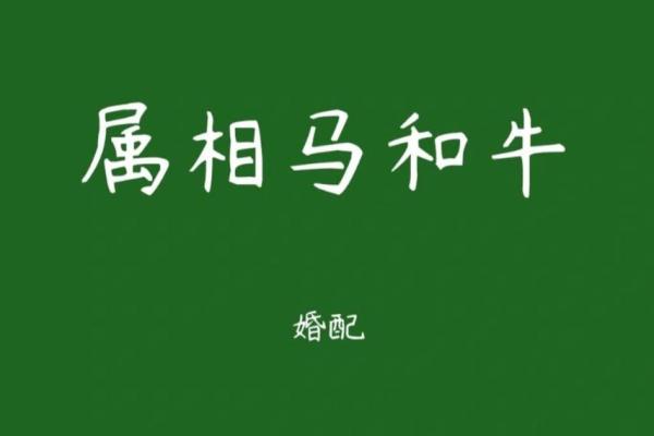 属牛男女婚姻匹配度:爱情与家庭的平衡 属牛男女婚姻匹配度:爱情与家庭的平衡