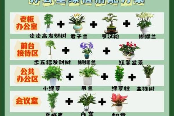 解密办公室绿植风水 对提升工作效率的影响 解密办公室绿植风水 对提升工作效率的影响