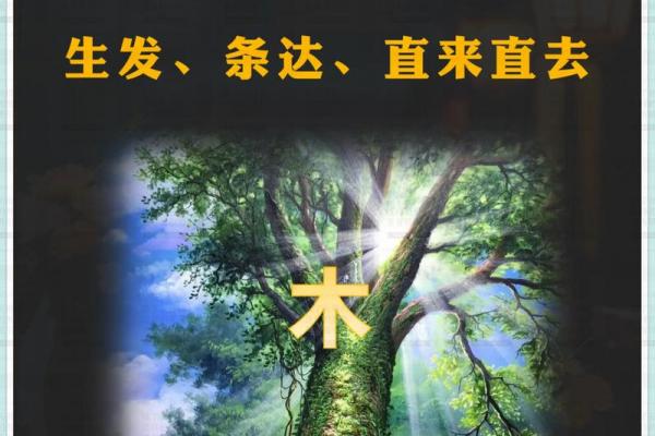 暖五行属性:探讨它在风水中的重要作用 暖五行属性:探讨它在风水中的重要作用