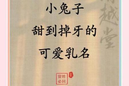 兔子名字创意大集合