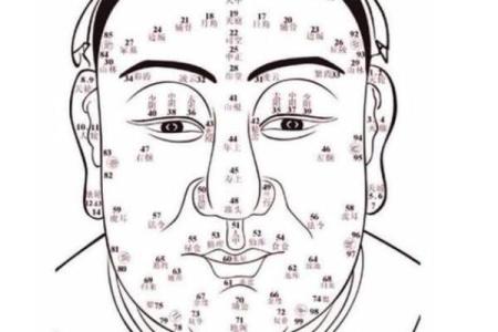 探秘出生的人命运走向