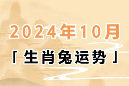 属兔人在本命年如何增强沟通与表达能力