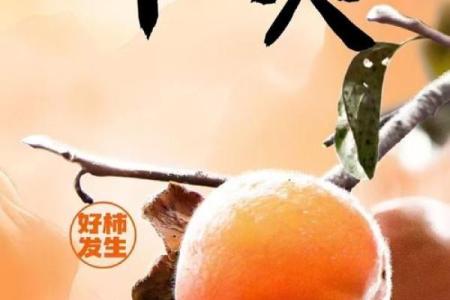 农历十月十：这一天的特殊意义你知道吗？