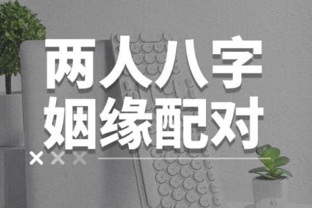 八字配对解析：如何通过八字看两人是否合适