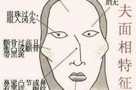 阴命人的特征与命运解析