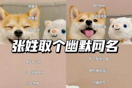 从个性到幽默 微信网名挑选指南