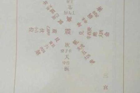 巽命与东四命的深度解析：揭开命理中的神秘面纱