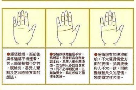 猴的八字分析：如何解读猴年命运与性格特点