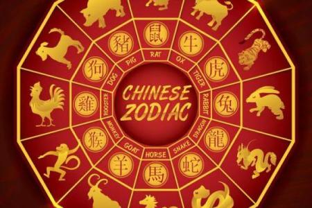 属牛女性运势起伏如何化解