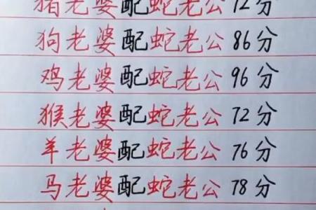 属鼠男与属蛇女的爱情配对分析